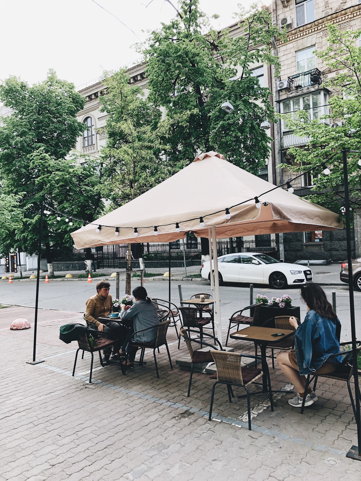 The Blue Cup Coffee Shop, вулиця Пушкінська, 5, Київ, Украина, 02000