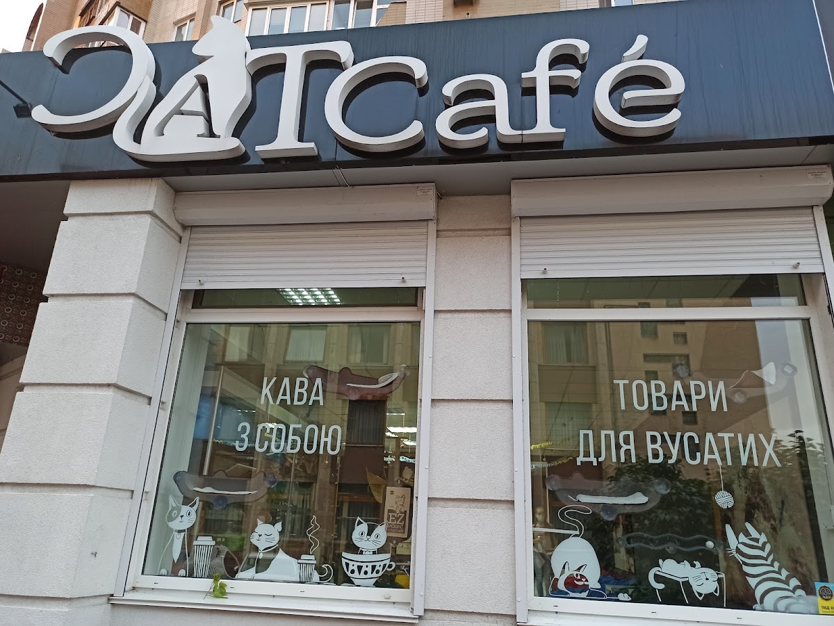 Кав'ярня "CatCafe", Київ