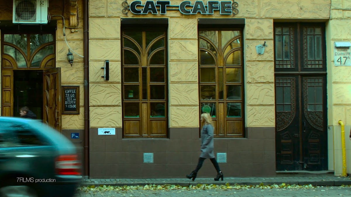 Кафе "Cat Cafe", Львів